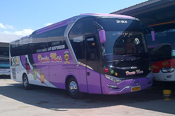 Bus dari Bima ke Tegal