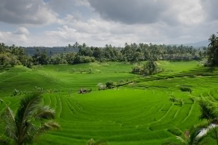 Bus dari Pasuruan ke Jembrana Bus dari Pasuruan ke Jembrana