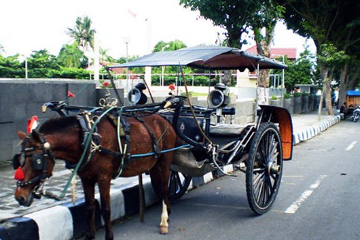 Bus dari Denpasar ke Blitar Bus dari Denpasar ke Blitar