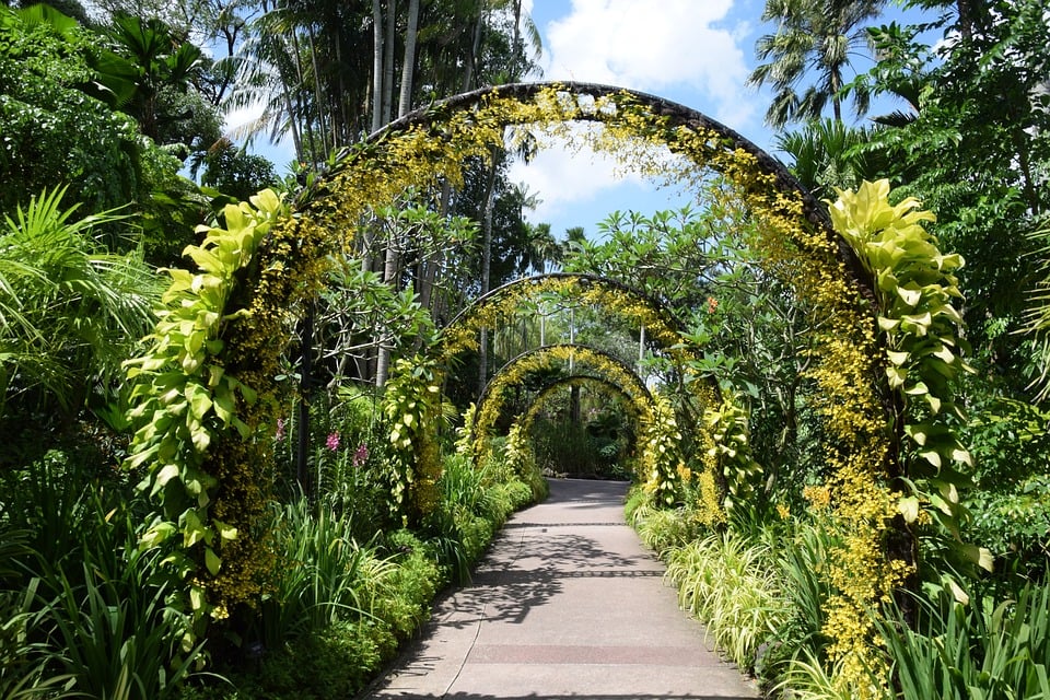 Tour | Singapore Botanic Gardens
